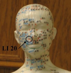 LI20