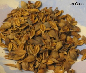 lian qiao